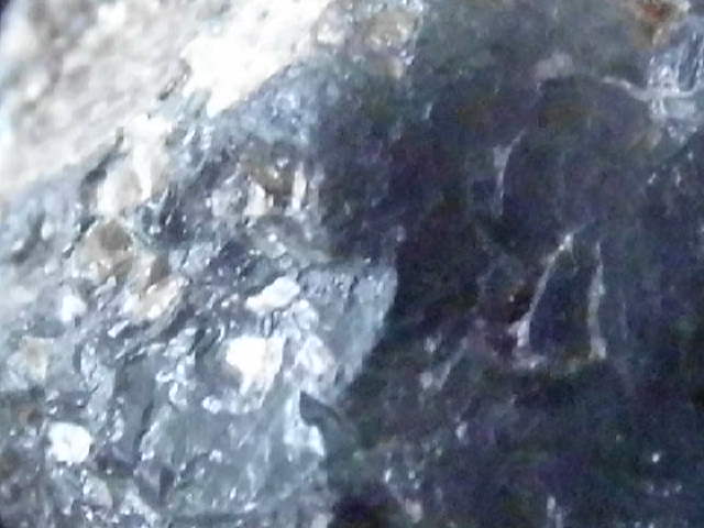 DSCI2893.JPG