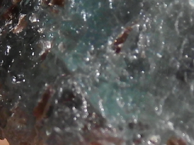 DSCI2906.JPG