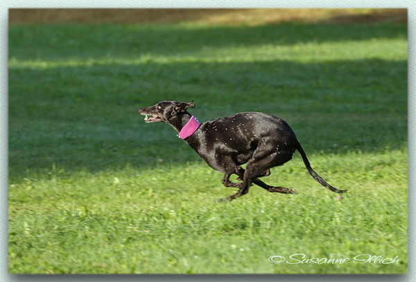 DSC9256_sized.jpg