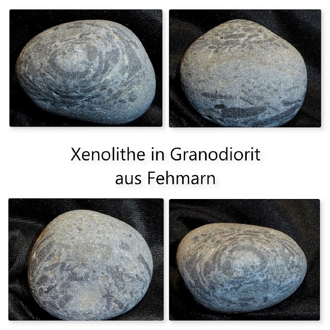 Xenolithe s.jpg