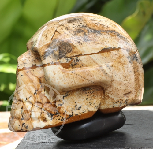 13901_1-steinschaedel-skull-jasper-kambaba.jpg