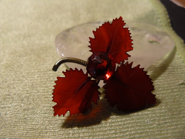 P1100533.JPG