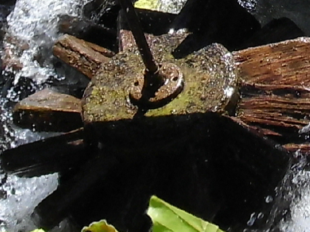 DSCI2977.JPG