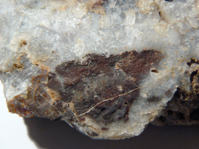 P1100823.JPG