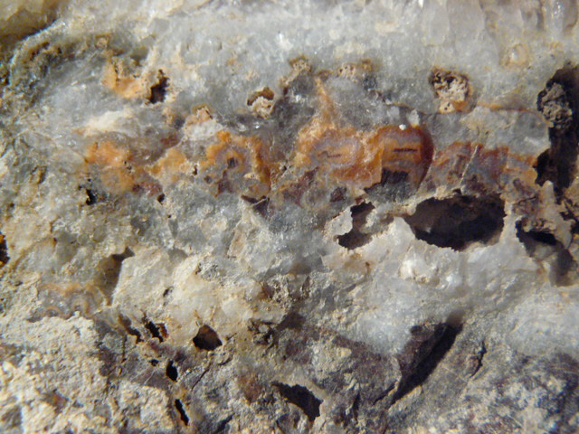 P1100828.JPG