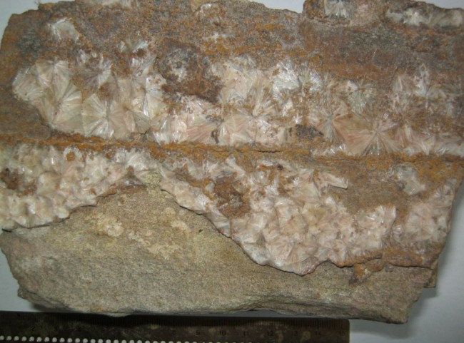03.JPG
