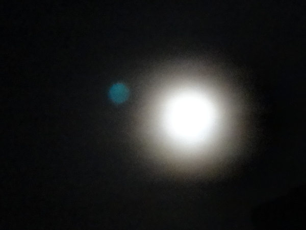 DSC09303a.jpg