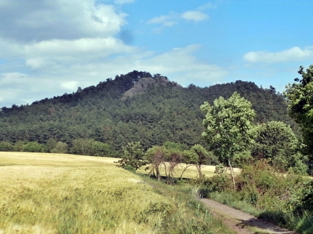 Der Berg Kuzov . wo der Granat führende Bach<br />vorbeifließt