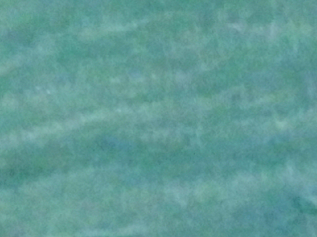 DSCI3112.JPG