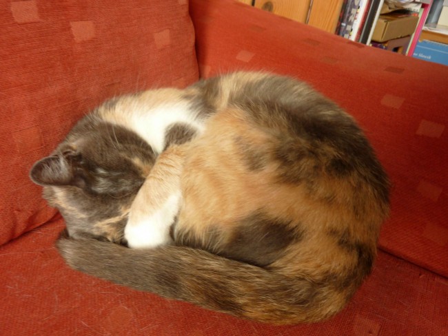 P1120615.JPG