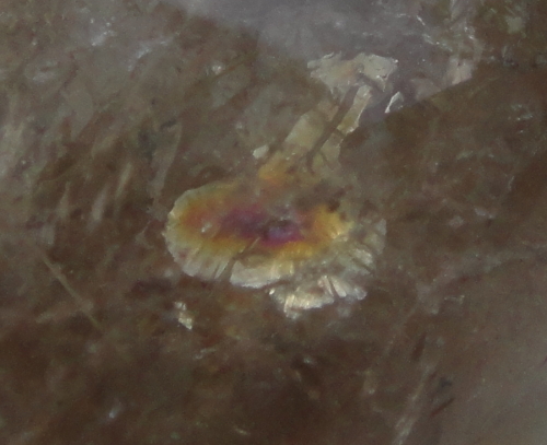 DSC09601a.jpg