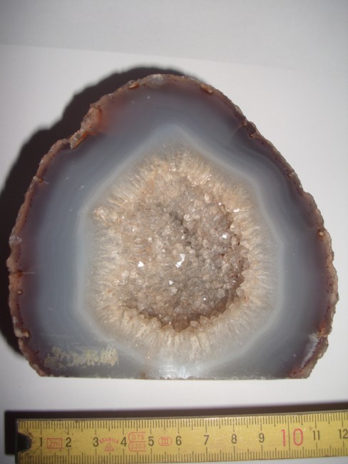 DSCI3576.JPG