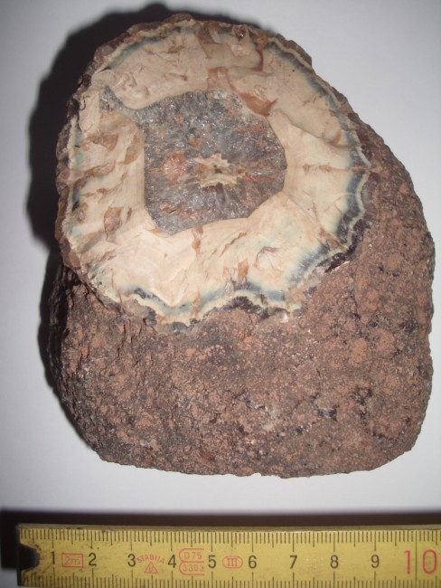DSCI3577.JPG