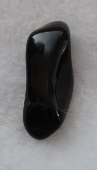 DSCI1461neu.jpg