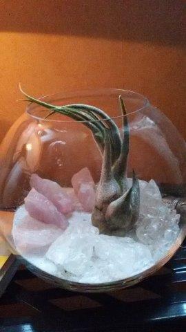 20170910_181844.jpg