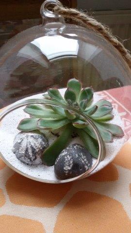 20171003_113308.jpg
