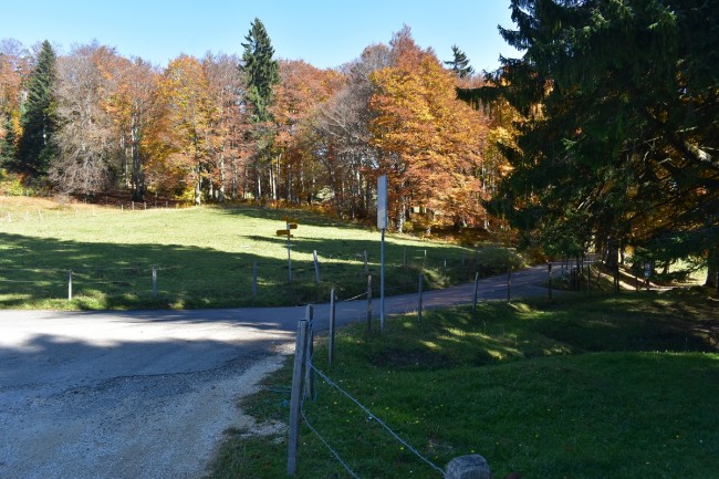 2017 10 14 Grenchen Wäsmeli 009.jpg
