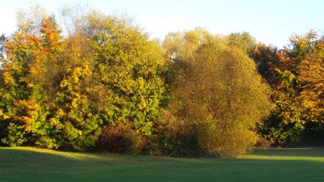 20171017_081947.jpg
