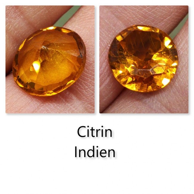 Citrin s.jpg