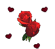 rosen-0385.gif