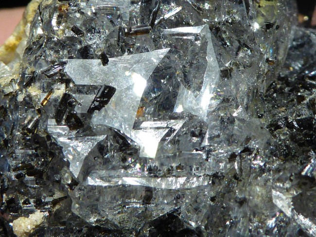 turmel2.jpg