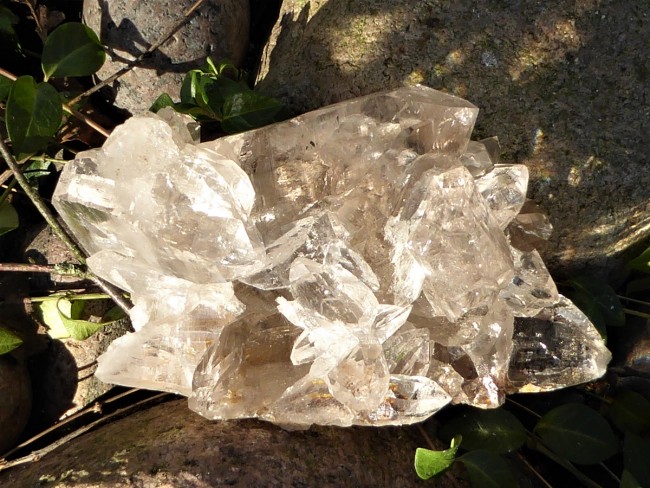 P1000864.jpg