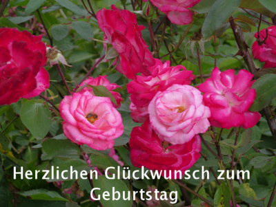 Herzlichen Glueckwunsch.jpg