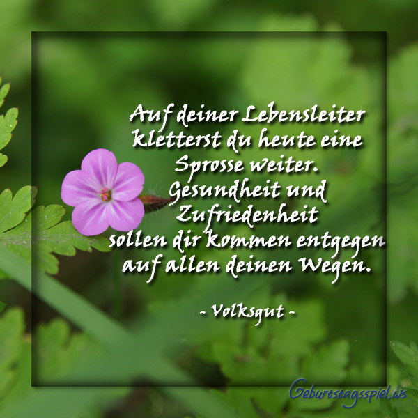 Spruch9.jpg