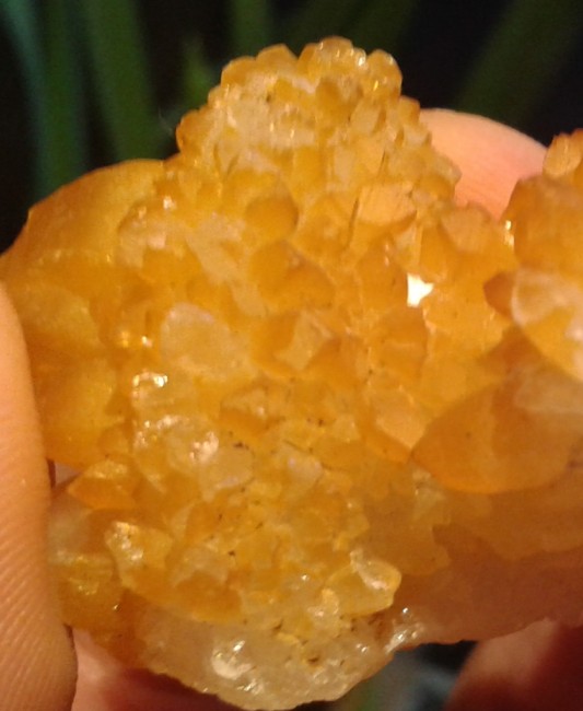 20180209_170731.jpg