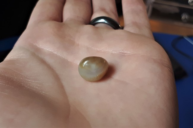 20180211_112449.jpg