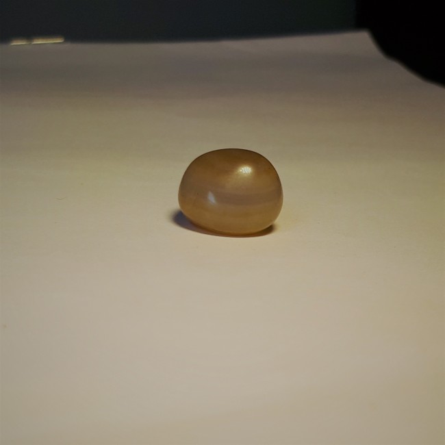 20180212_100724.jpg