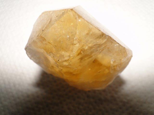 DSC01289.jpg