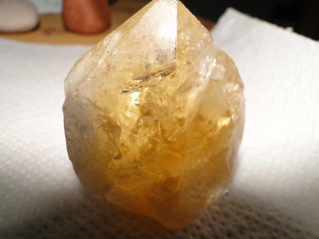 DSC01290.jpg