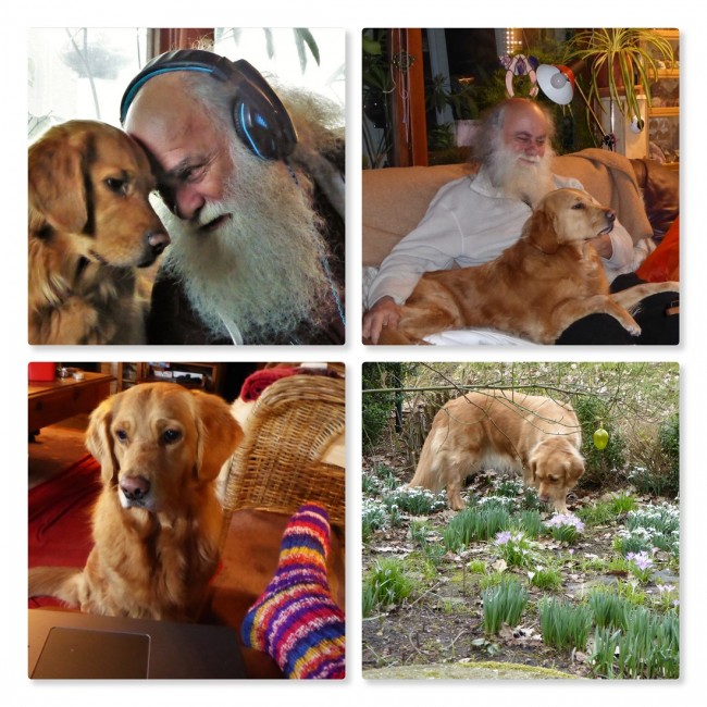 Papas Puppy.jpg