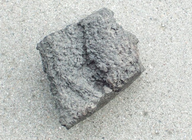 DSCF2295.JPG