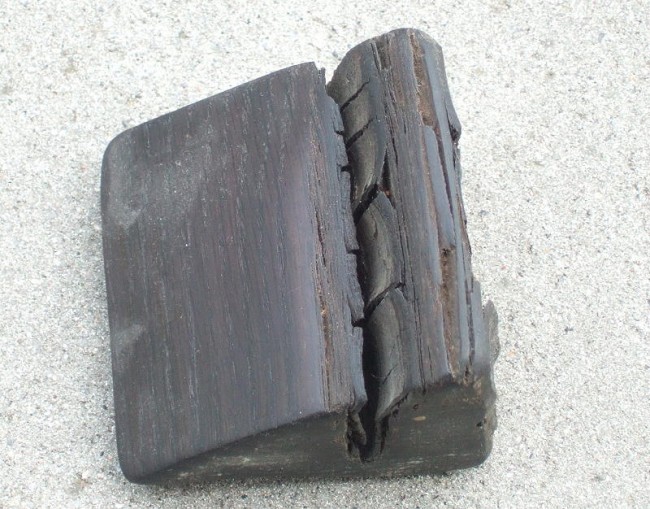 DSCF2300.JPG