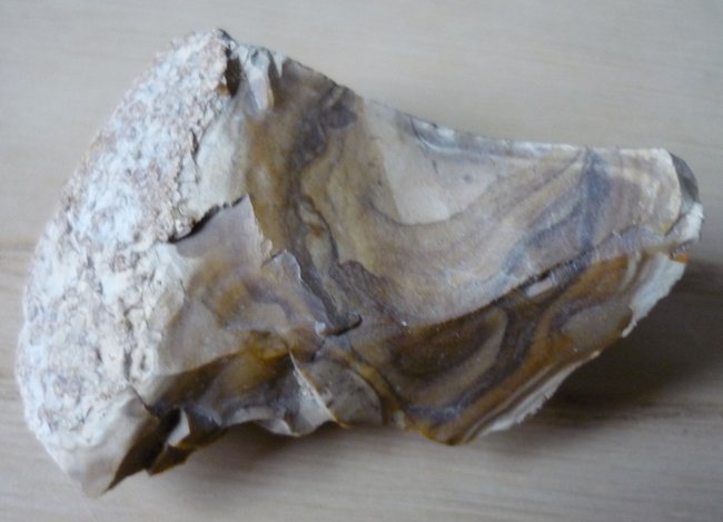 Stein 2: Könnte es vielleicht ein schön gemusterter Flint sein?