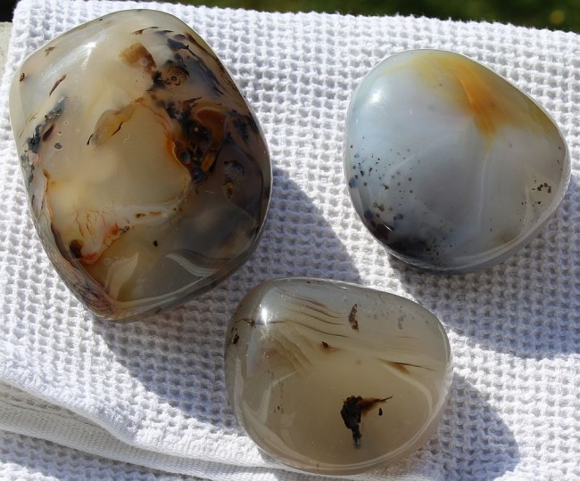 3 Big Natural Dendritic Agate.jpg