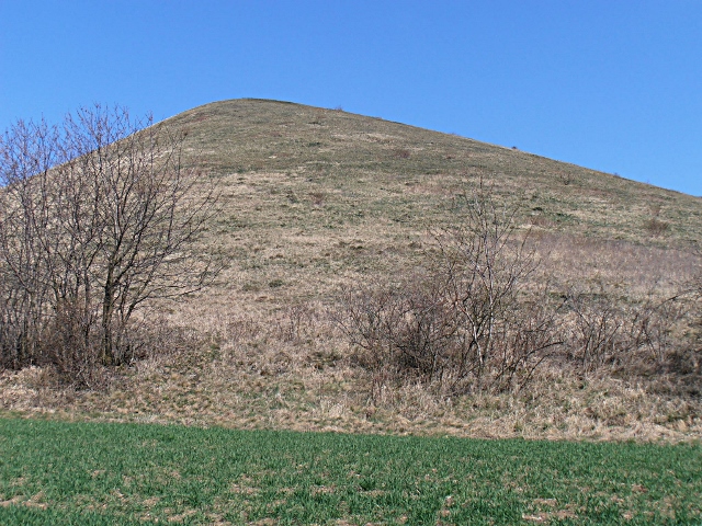 Cicov (Spitzberg)