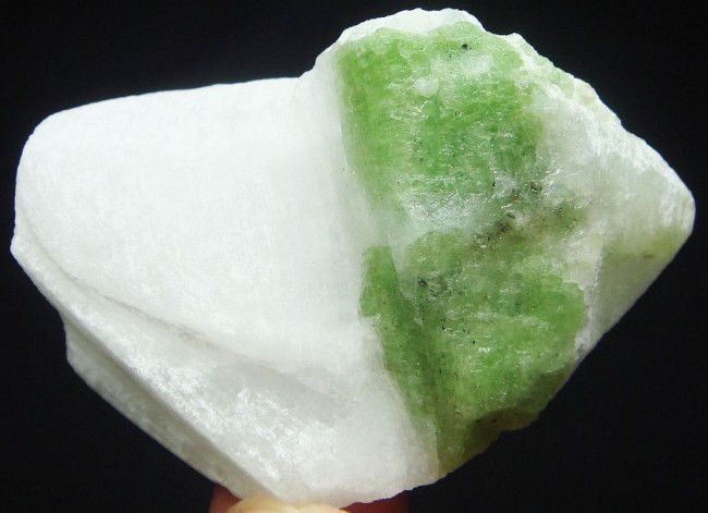 50g-Green-Pargasite-auf Matrix-.jpg