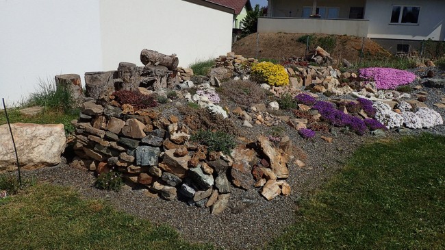 Garten 07.JPG