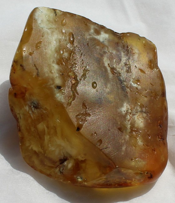 Bernstein 44.2g 2.jpg