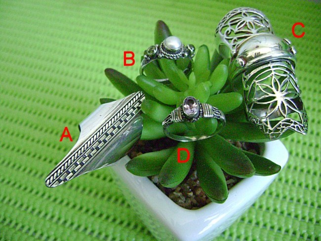 ringe001.jpg