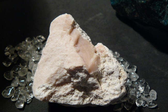 Rosa Andenopal Ica-Region,Peru