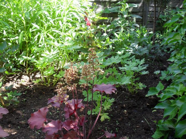 Staudenbeet4.jpg