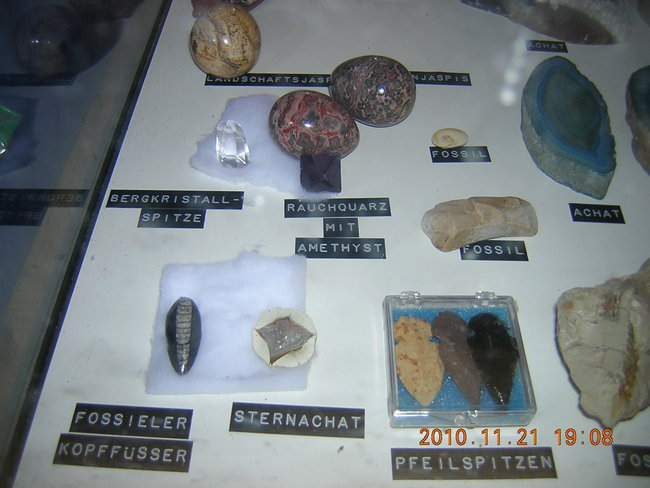 mal ein Blick in den unteren Teil der Vitrine