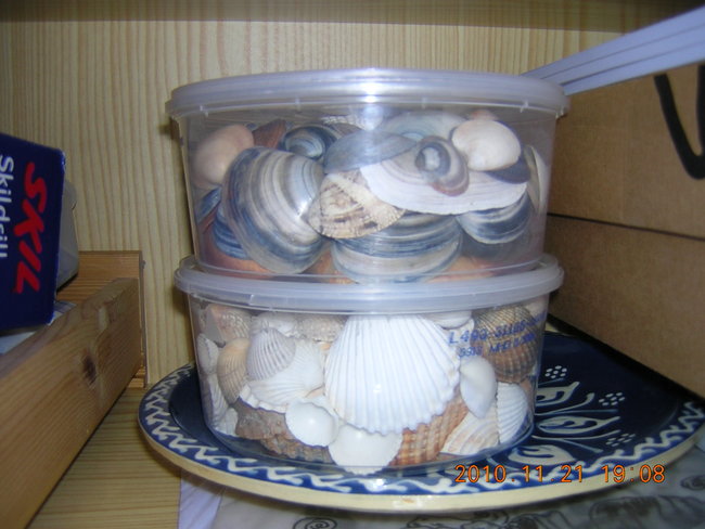 der Muschelberg