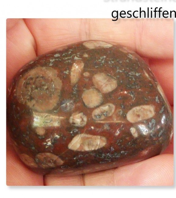 strandstein.jpg