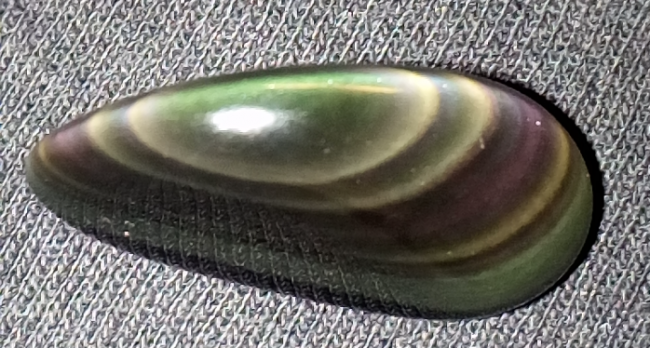 IMG_20180314_062017.png