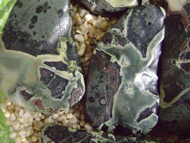 binichserpentin0002.jpg